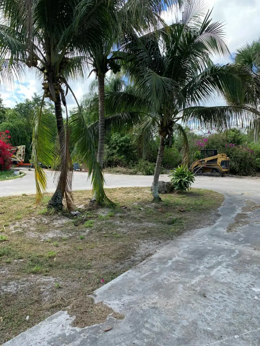 Picture of 2438 Palm Deer Drive, Loxahatchee FL 33470