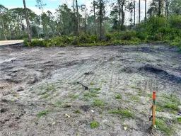 Picture of 2012 Roosevelt Ave, Alva, FL 33920