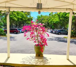 Picture of 805 Cypress Blvd 307, Pompano Beach, FL 33069