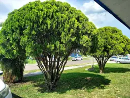 Picture of 324 W 5Th Terrace, Pahokee, FL 33476