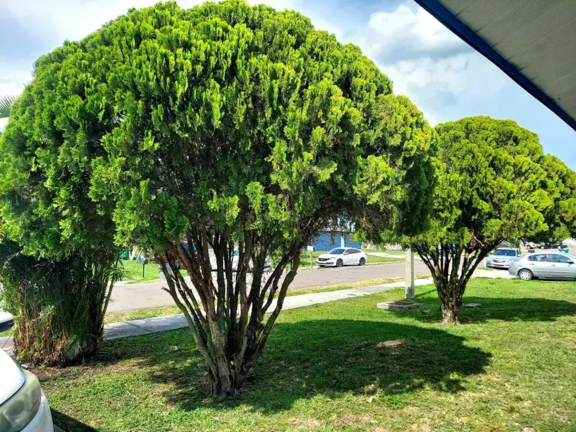 Picture of 324 W 5Th Terrace, Pahokee FL 33476