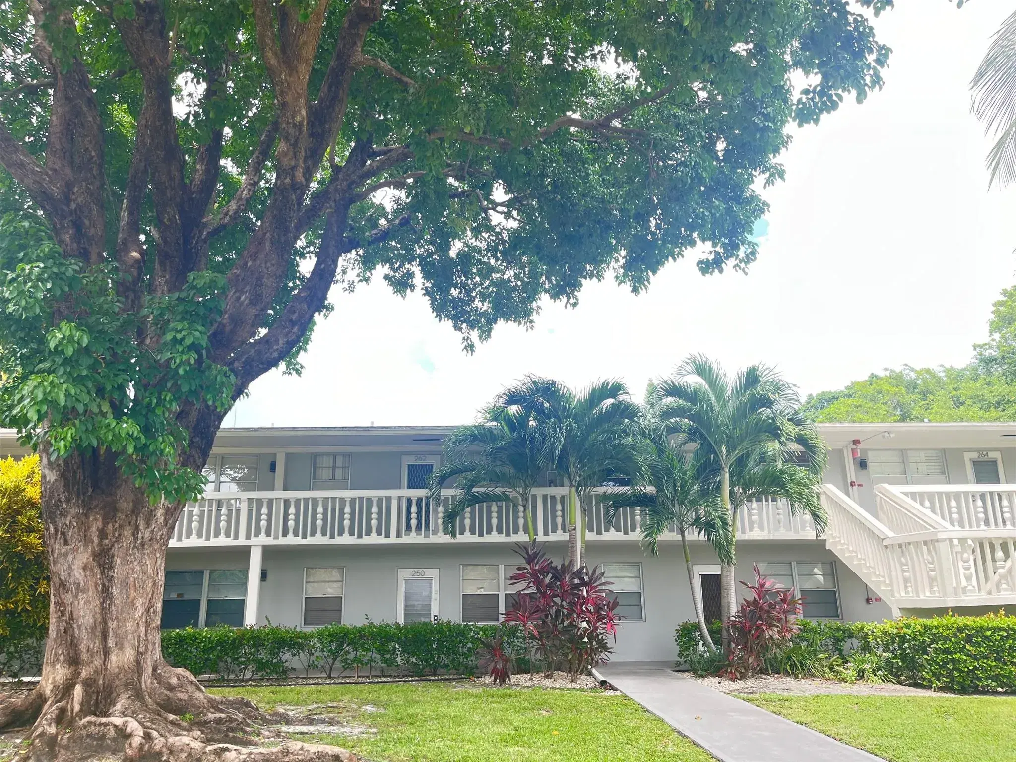 Picture of 262 Ventnor R 262, Deerfield Beach, FL 33442