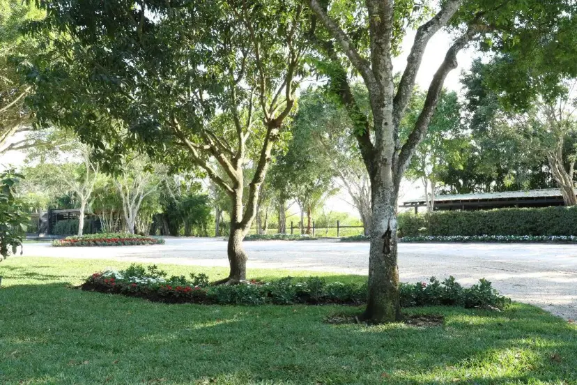 Picture of 14996 50Th Street S, Wellington FL 33414