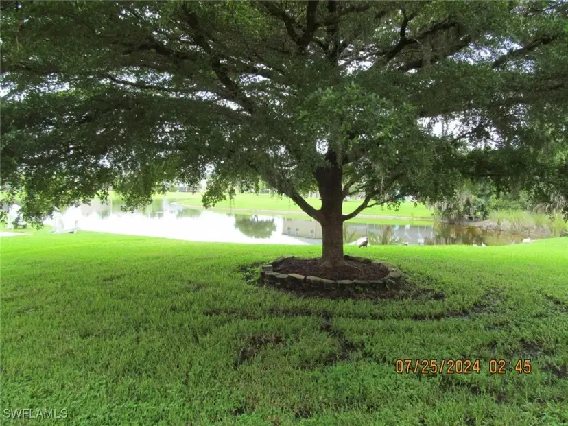 Picture of 13520 Cypress Head Dr, Fort Myers FL 33913