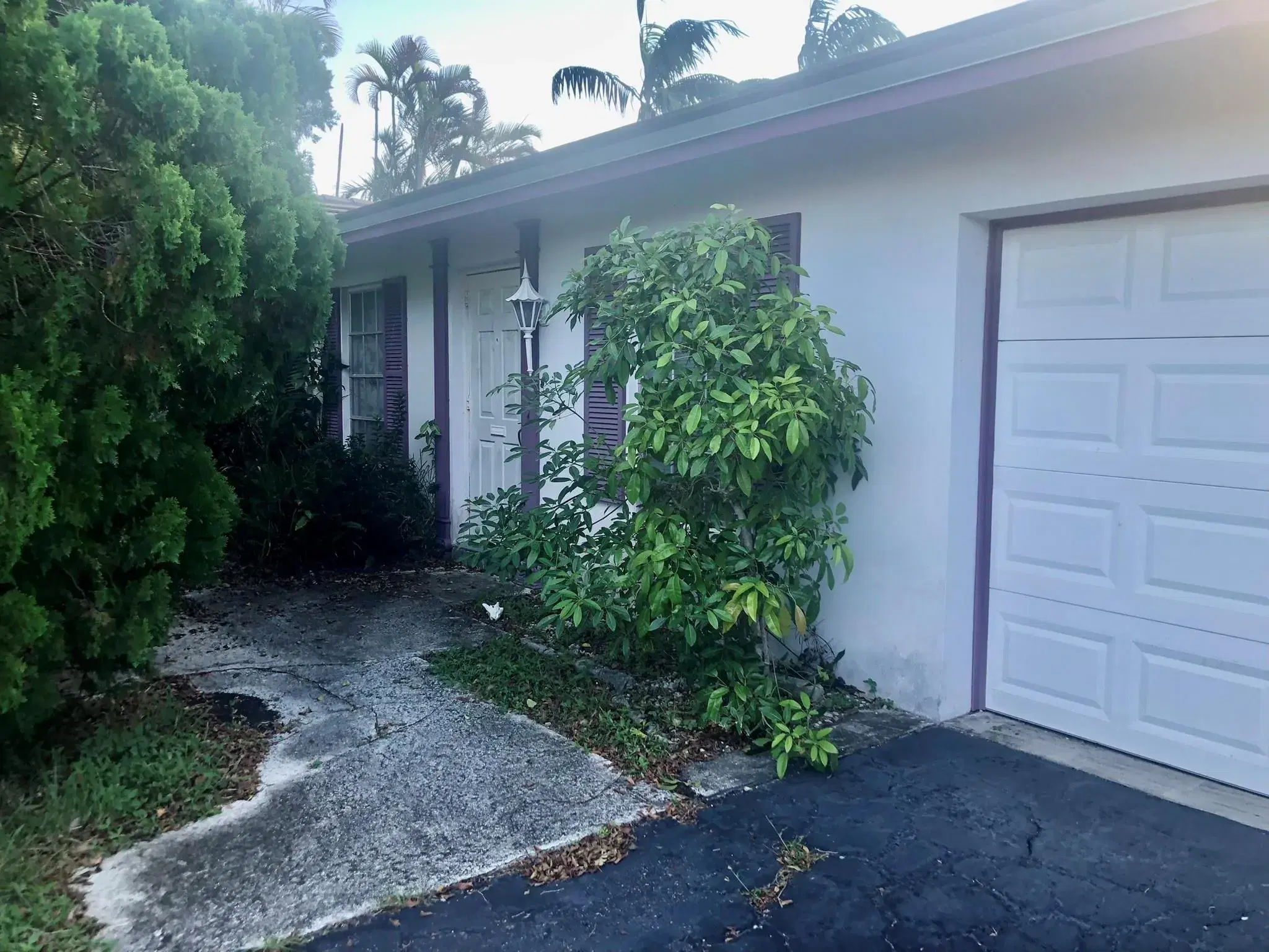 Picture of 4721 Bayview Dr, Fort Lauderdale, FL 33308