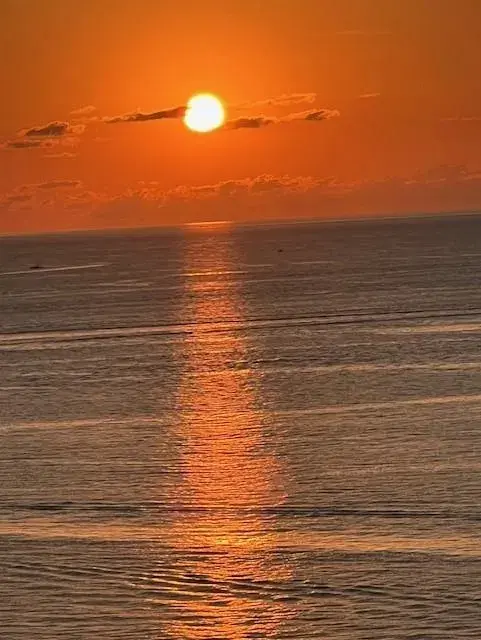 Picture of 531 N Ocean Blvd Ph11, Pompano Beach FL 33062