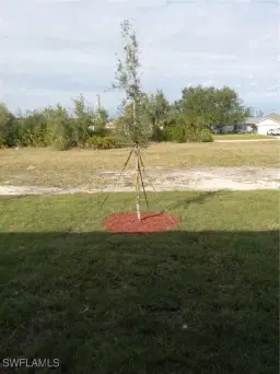 Picture of 2609 NW 8Th Trce, Cape Coral, FL 33993