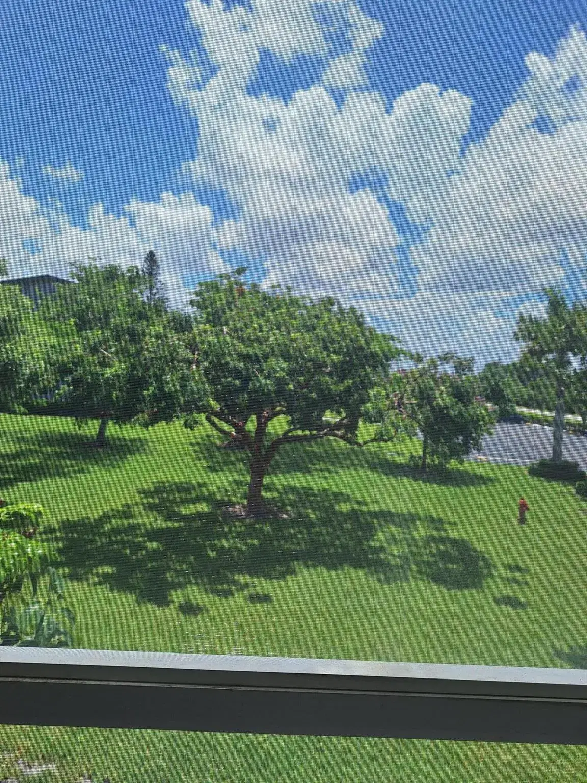 Picture of 154 Suffolk D, Boca Raton, FL 33434