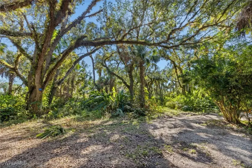 Picture of 17790 Caloosa Rd, Alva FL 33920