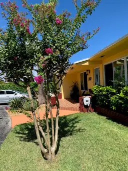 Picture of 2707 Monroe St, Hollywood, FL 33020