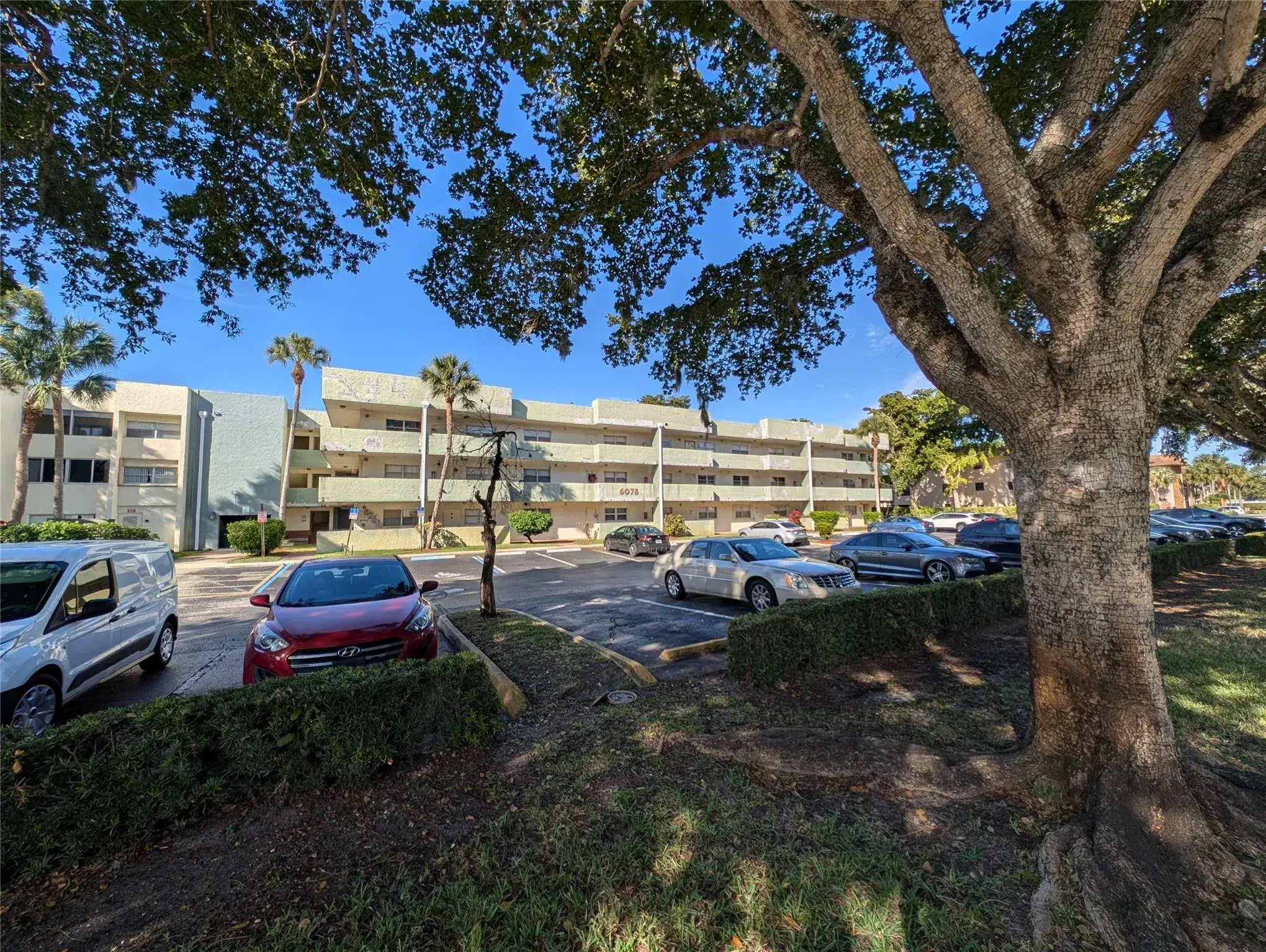 Picture of 6075 N Sabal Palm Blvd 204, Tamarac, FL 33319