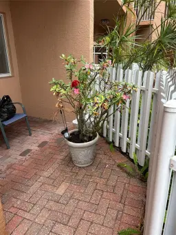 Picture of 7725 Yardley Dr 113, Fort Lauderdale, FL 33321
