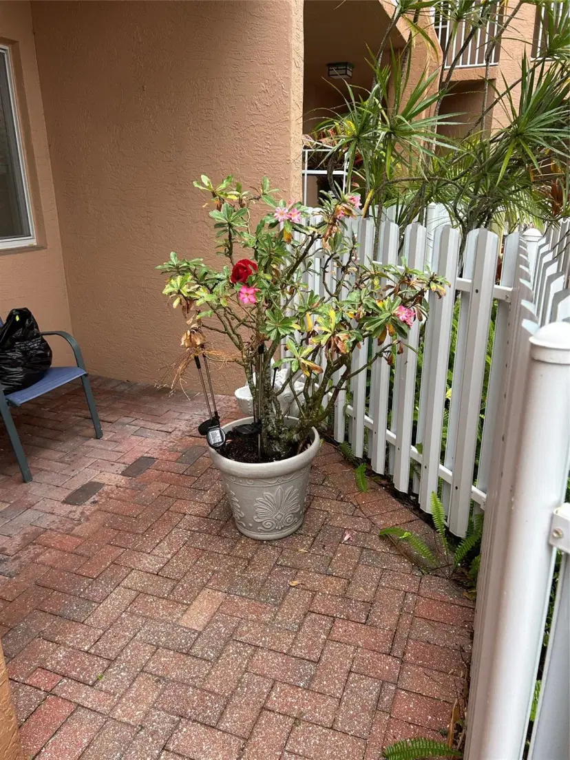 Picture of 7725 Yardley Dr 113, Fort Lauderdale FL 33321