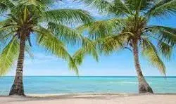 Picture of 1248 Surf Road 5, Singer Island FL 33404