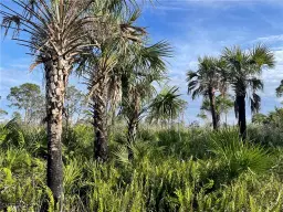 Picture of 20681 Coconut Dr, Estero, FL 33928