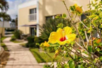 Picture of 3541 NE Ocean Boulevard 7, Jensen Beach FL 34957