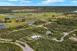 Picture of 2118 Scrub Olive Ct, Alva, FL 33920