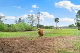 Picture of 4420 43Rd Ave Ne, Naples, FL 34120