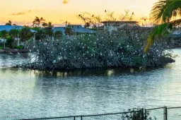 Picture of 3131 Twin Lakes Ln, Sanibel, FL 33957