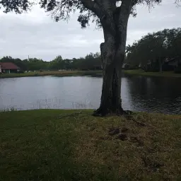 Picture of 3470 SE Martinique Trace 101, Stuart, FL 34997