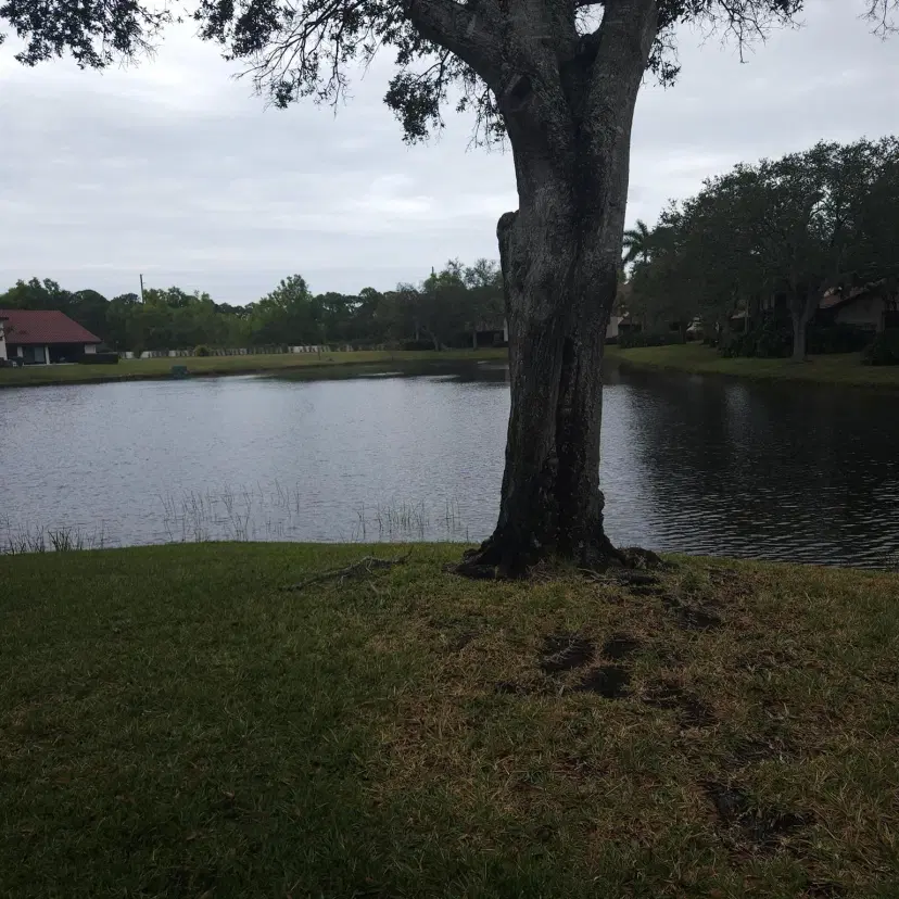 Picture of 3470 SE Martinique Trace 101, Stuart FL 34997