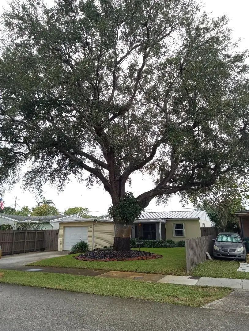 Picture of 121 NW 54 Court, Oakland Park FL 33309
