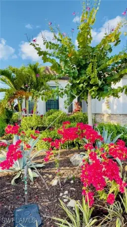 Picture of 8266 Promoso Ct, Naples, FL 34114