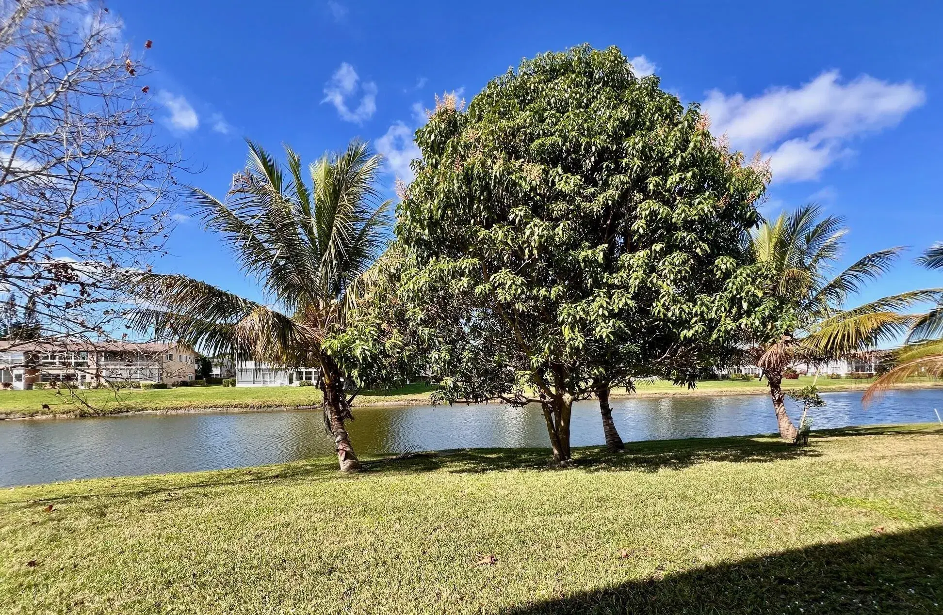 Picture of 240 Bedford J, West Palm Beach, FL 33417