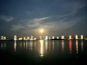 Picture of 111 Shore Court 314, North Palm Beach FL 33408