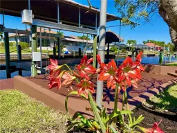 Picture of 2912 SE 20Th Ave, Cape Coral, FL 33904