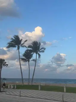 Picture of 505 NE 20Th Avenue Ne 110, Deerfield Beach, FL 33441