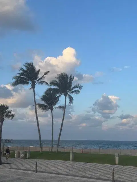 Picture of 505 NE 20Th Avenue Ne 110, Deerfield Beach FL 33441