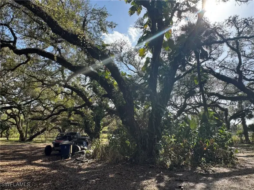 Picture of 23141 N River Rd, Alva FL 33920