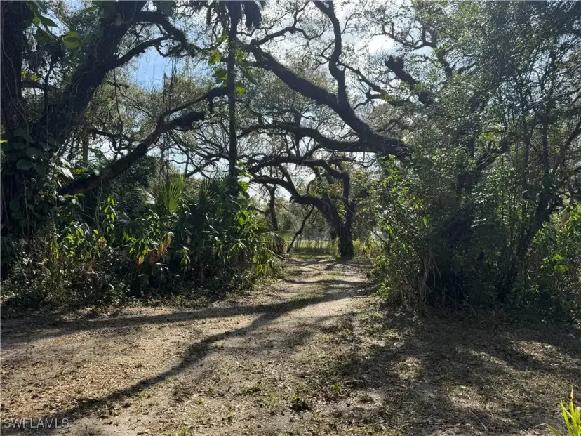 Picture of 23141 N River Rd, Alva FL 33920