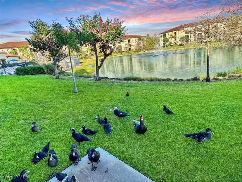 Picture of 13010 Positano Cir 108, Naples FL 34105