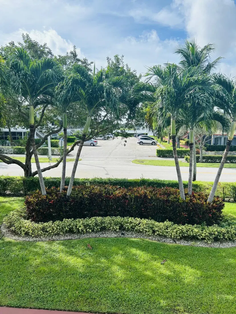 Picture of 50 Plymouth F, West Palm Beach FL 33417