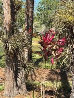 Picture of 5767 Deauville Cir D308, Naples, FL 34112
