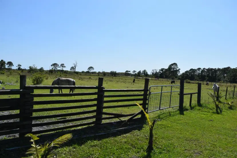 Picture of 10435 NE 120Th Street, Okeechobee FL 34972