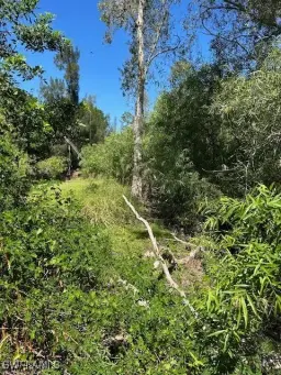 Picture of 19230 Poor Ln, North Fort Myers, FL 33917