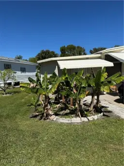 Picture of 10848 Bonapartes Gull, Estero, FL 33928