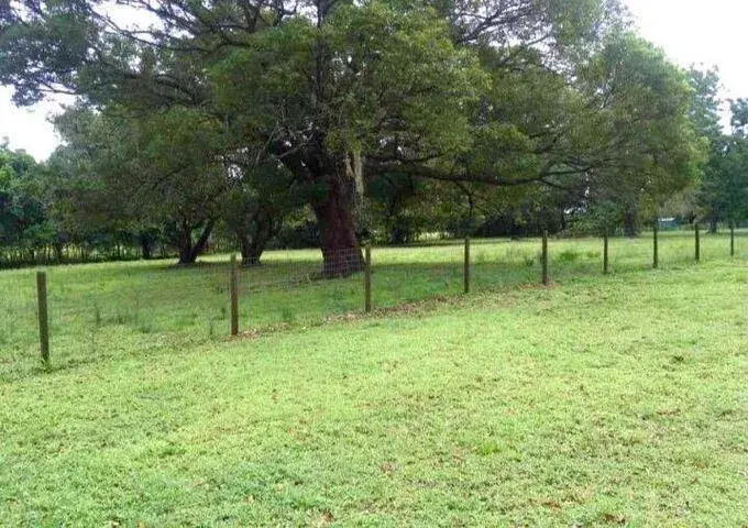 Picture of 4375 Neff Lake Road Road, Brooksville FL 34601
