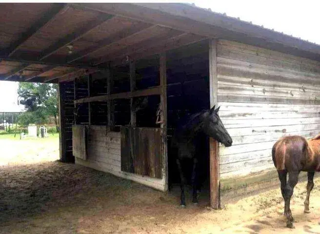 Picture of 4375 Neff Lake Road Road, Brooksville FL 34601