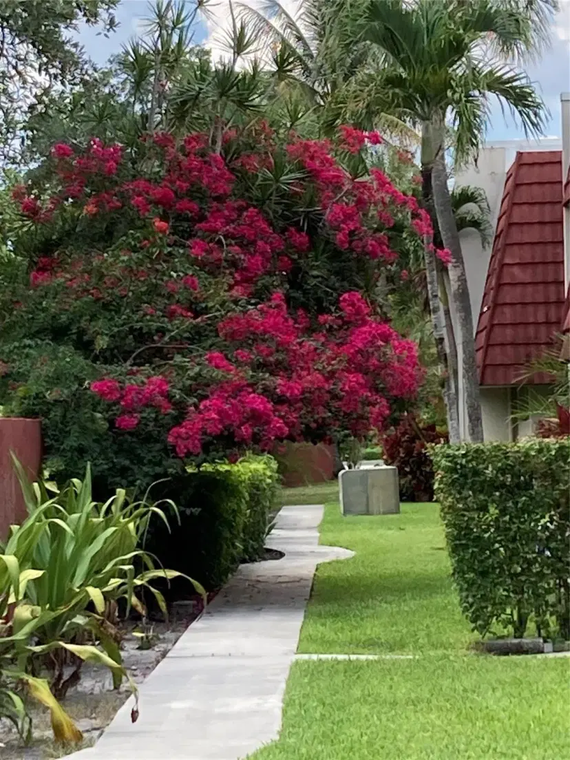 Picture of 17 Jacaranda Country Club Dr 117, Plantation FL 33324