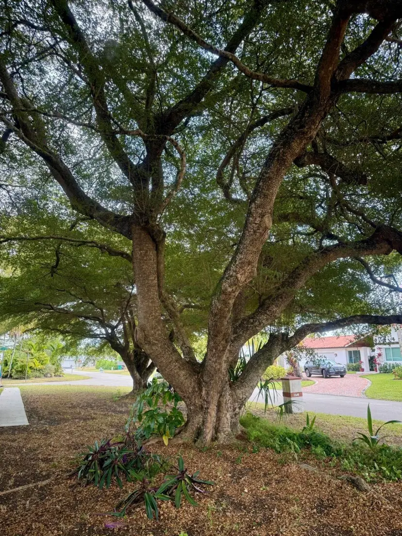 Picture of 12540 SW 115Th Avenue, Miami FL 33176