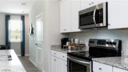 Picture of 17557 Monte Isola Way, North Fort Myers, FL 33917