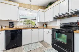 Picture of 9029 Flamingo Cir, North Fort Myers, FL 33903