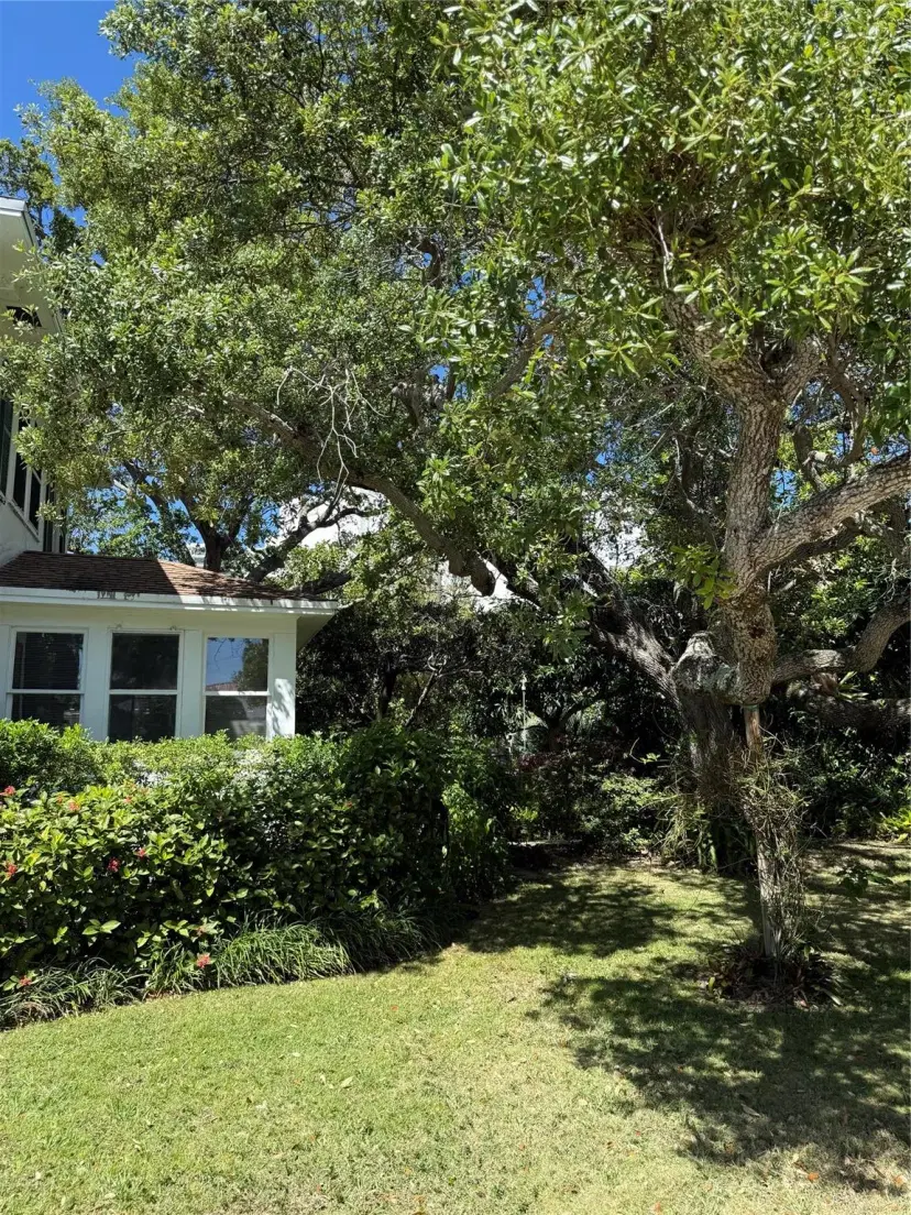 Picture of 275 Flamingo Dr, West Palm Beach FL 33401