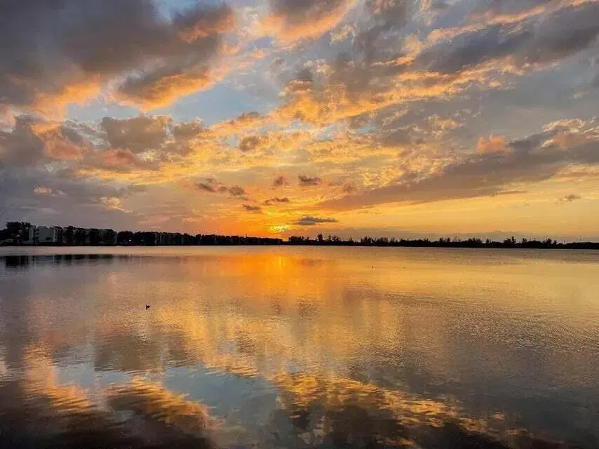 Picture of 110 Lake Emerald Drive 405, Oakland Park, FL 33309