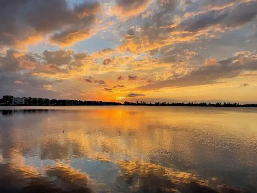 Picture of 110 Lake Emerald Drive 405, Oakland Park FL 33309