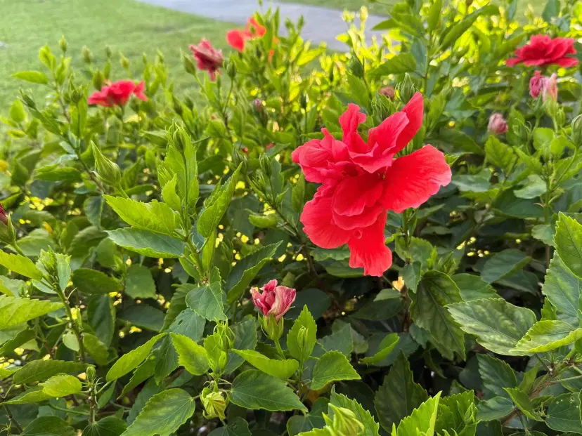 Picture of 81 Camden D, West Palm Beach FL 33417